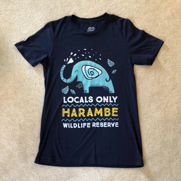 Tops - DisneyAnimal Kingdom small shop tee
